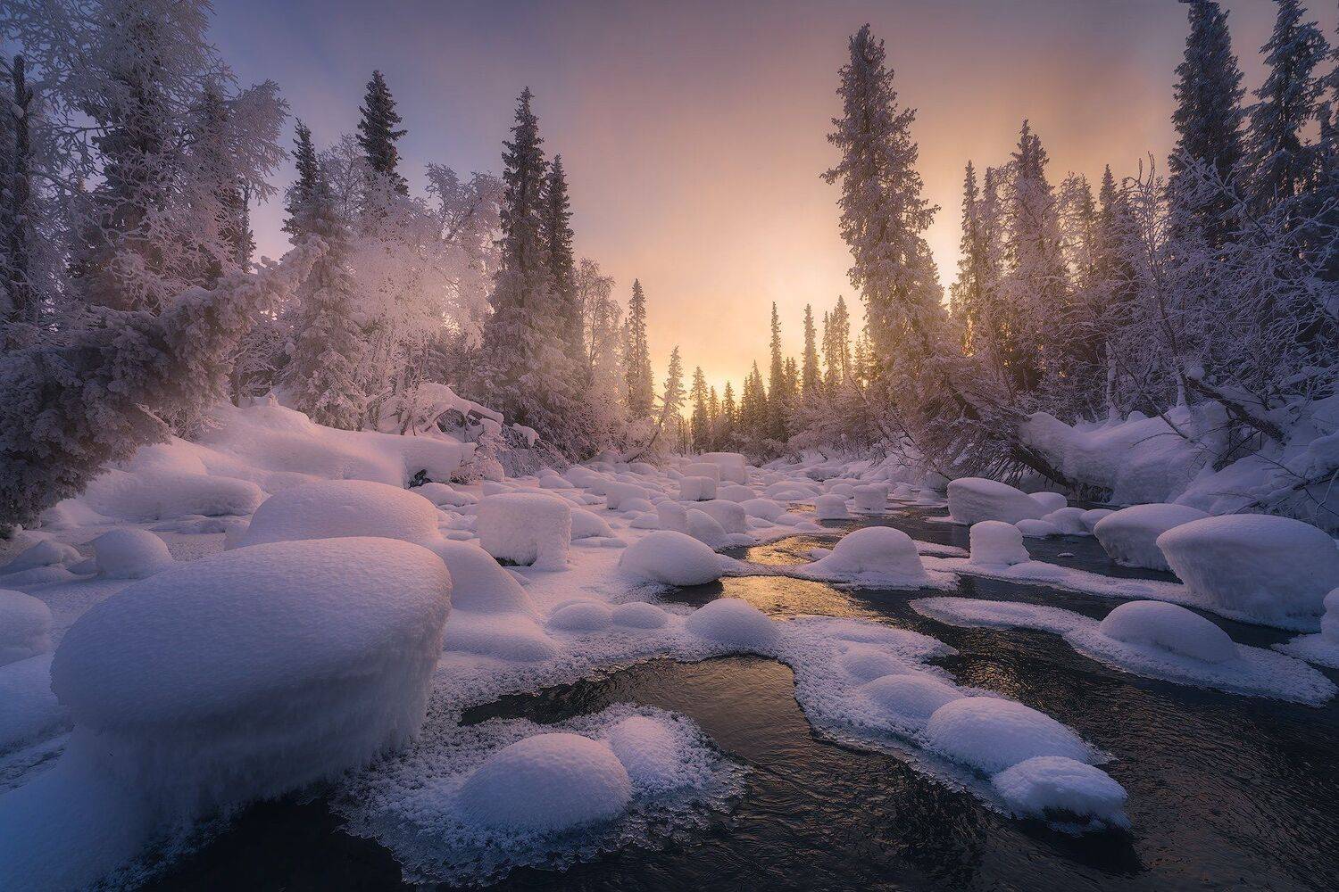пейзаж, север, кольский, лес, зима, река, Александр Дударев