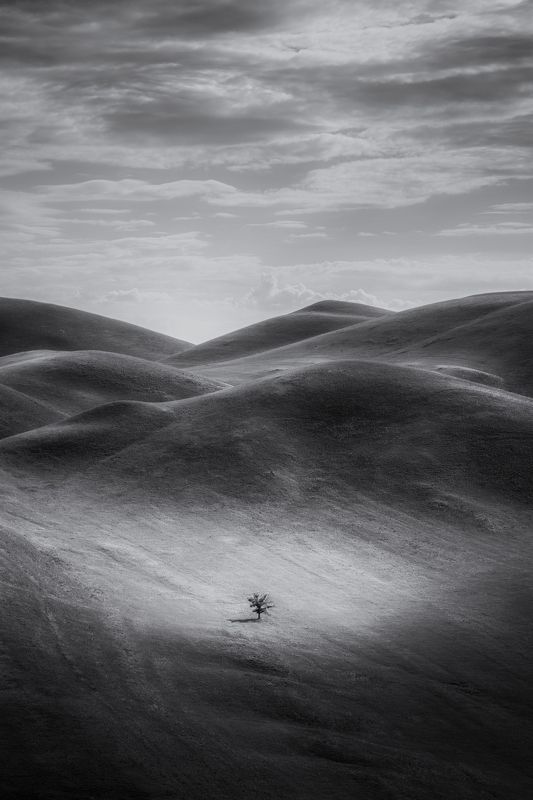 Один фото превью