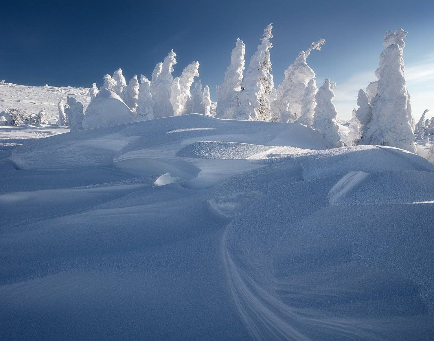 гух, Валерий Щербина (sv-phototravel.com)
