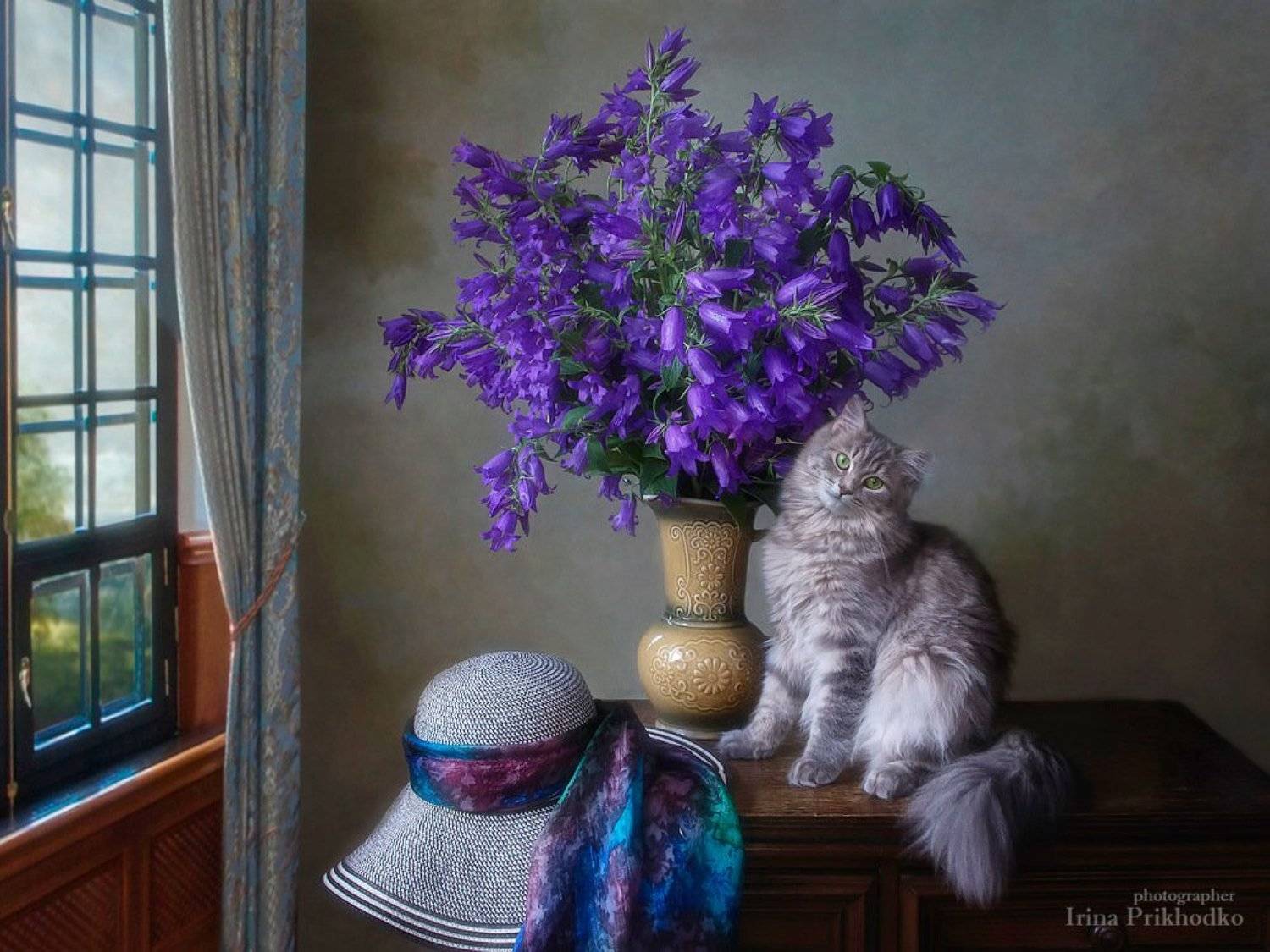 натюрморт, котонатюрморт, постановочное фото, кошка Масяня, домашние животные, букеты, колокольчики, Ирина Приходько