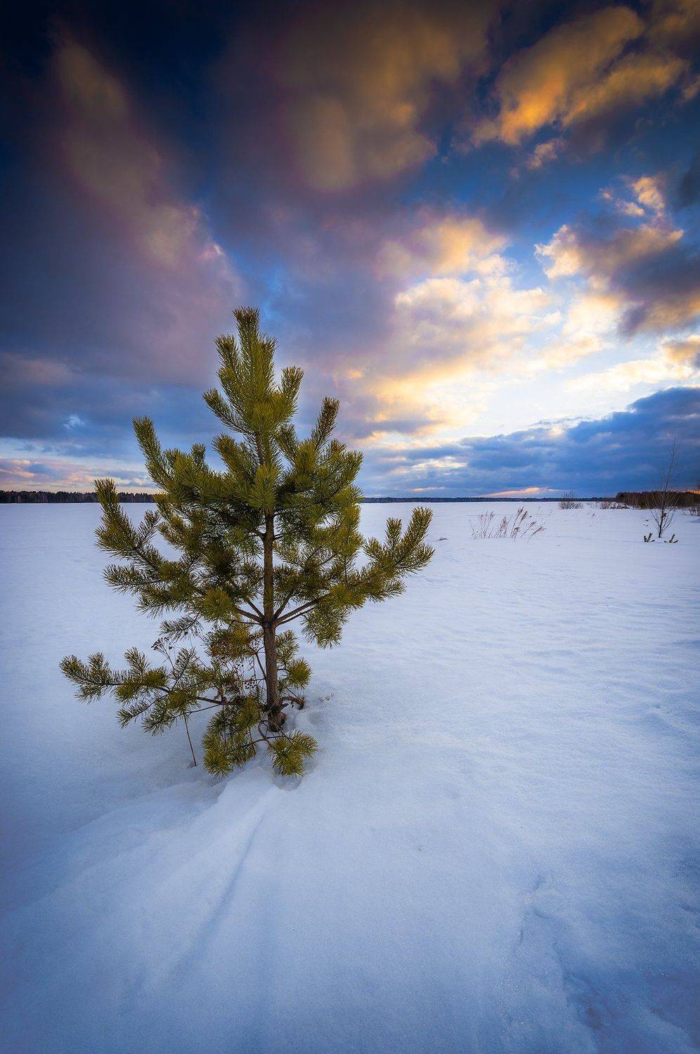landscape, nature, spring, Maria Pochikaeva