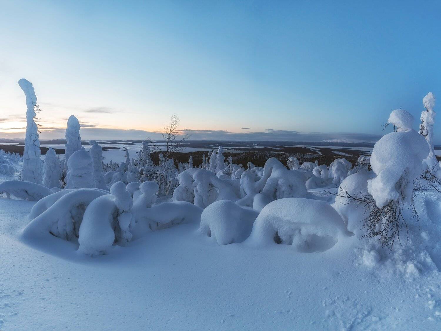 , Константин Дэм