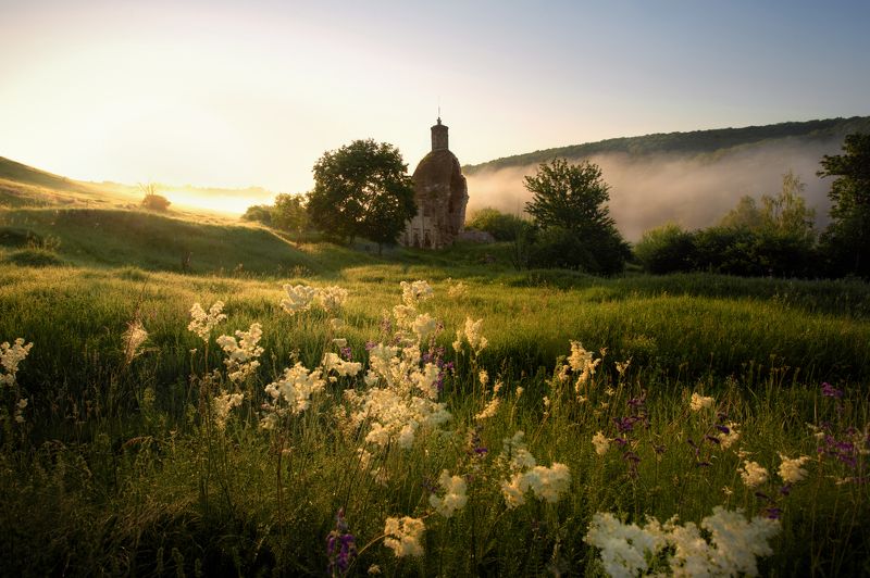 туман, пейзаж, цветы , церковь , золотой час  церквушка в тумане фото превью