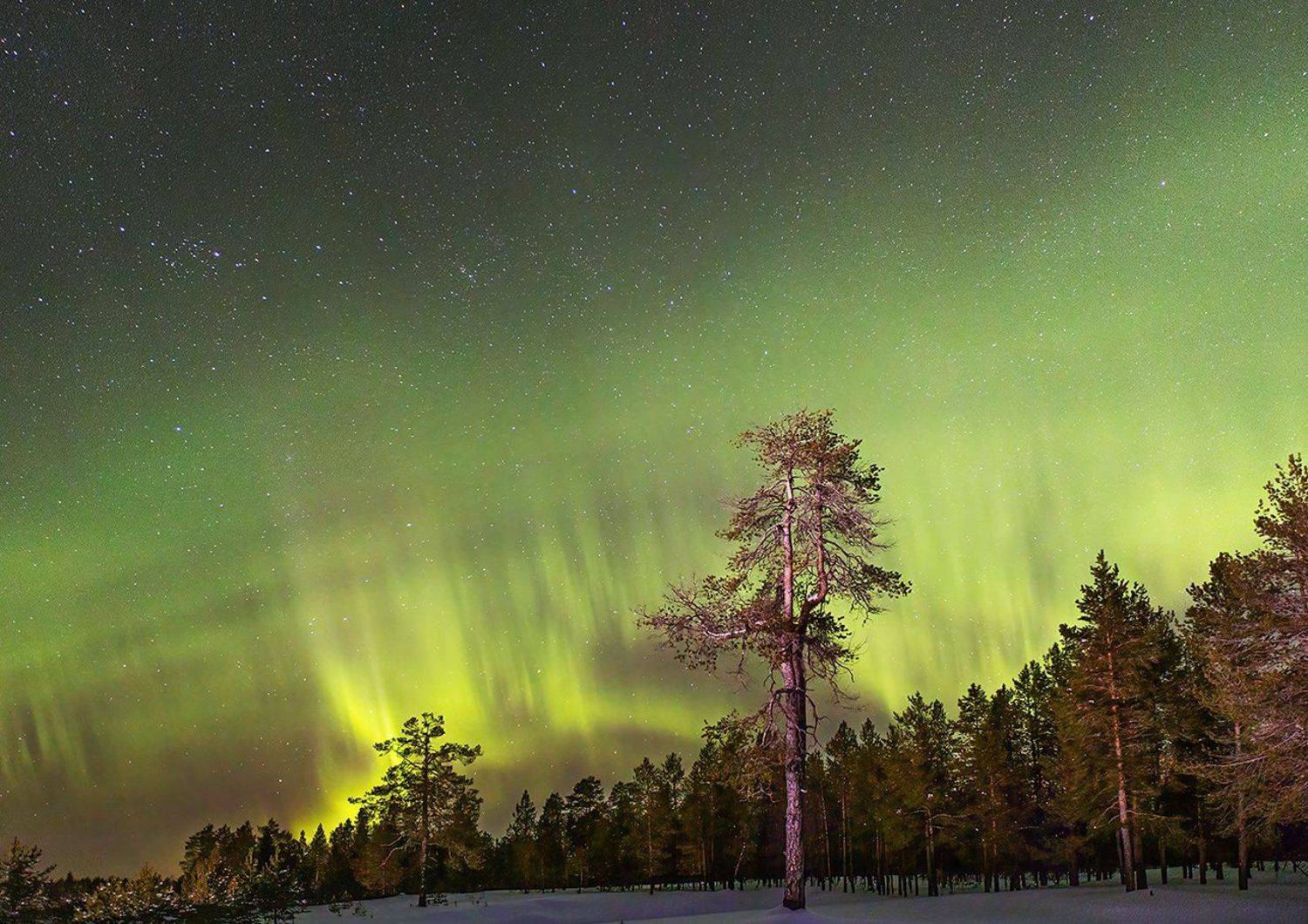 печора,.коми,север,природа,аврора,северное сияние,снег,pechora,komi,north,nature,aurora,northern ,, Игорь Триер