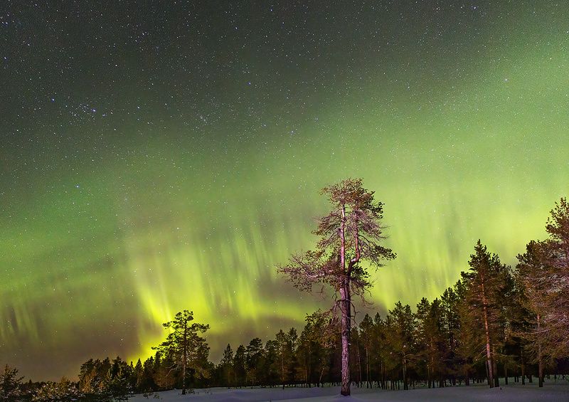 печора,.коми,север,природа,аврора,северное сияние,снег,pechora,komi,north,nature,aurora,northern , Краски Севера фото превью