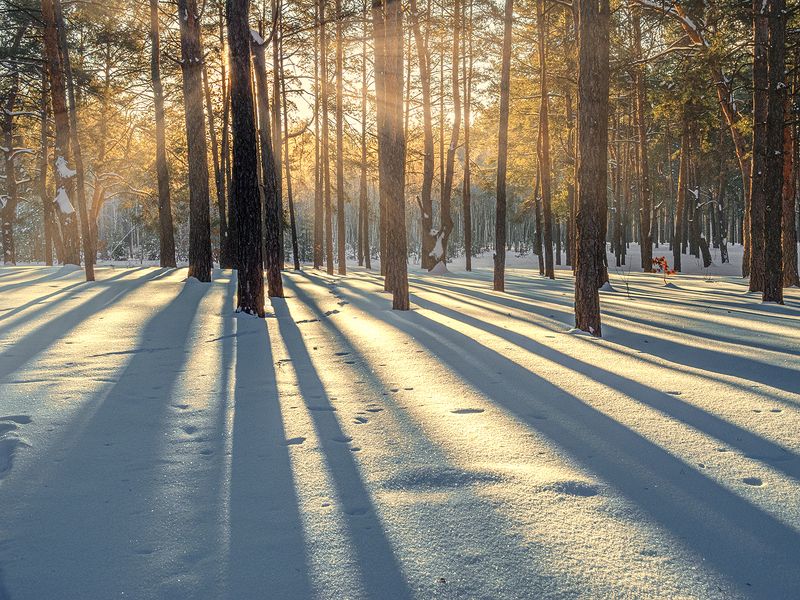 солнечное утро фото превью