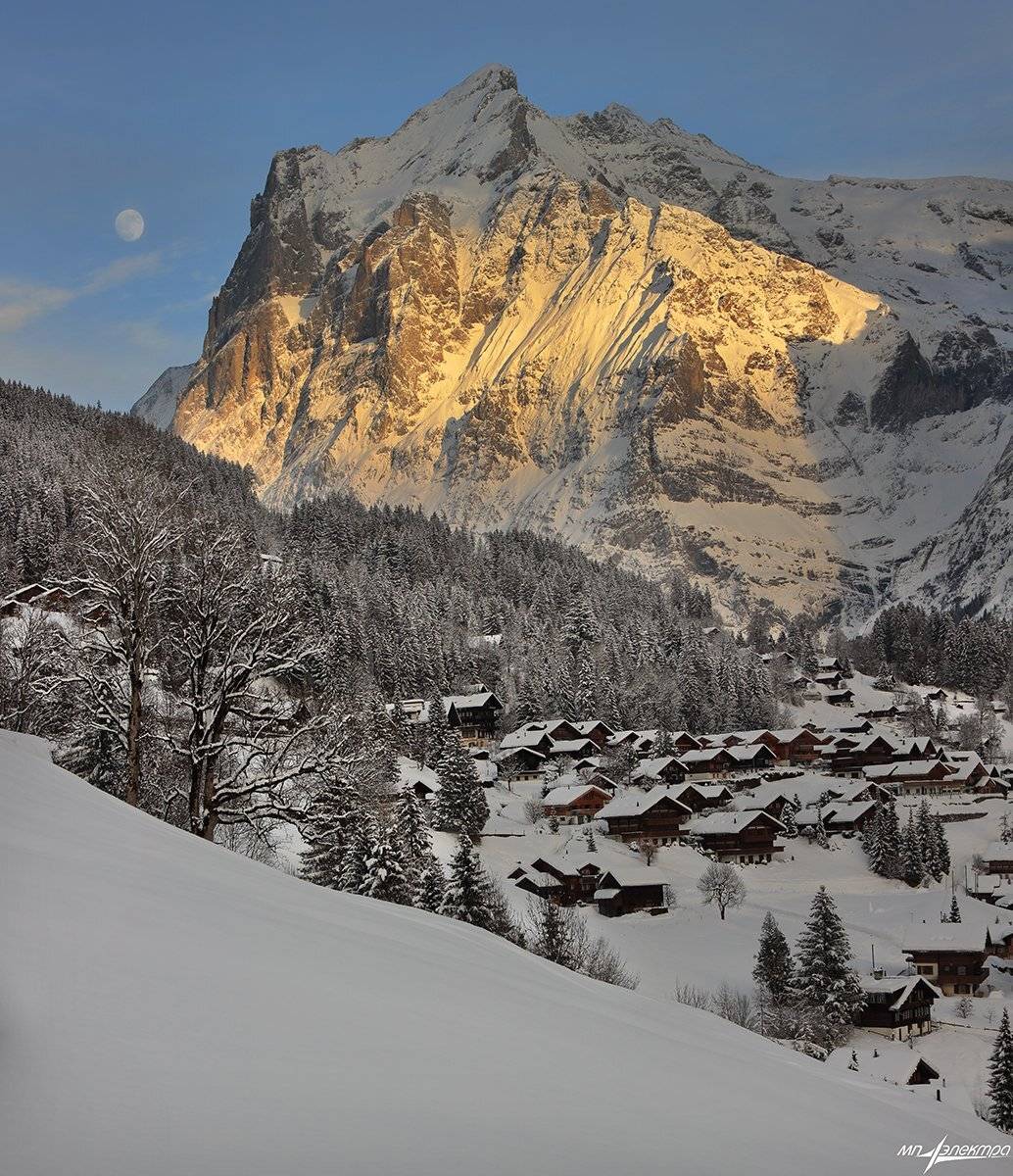 swiss, Матвеев Николай