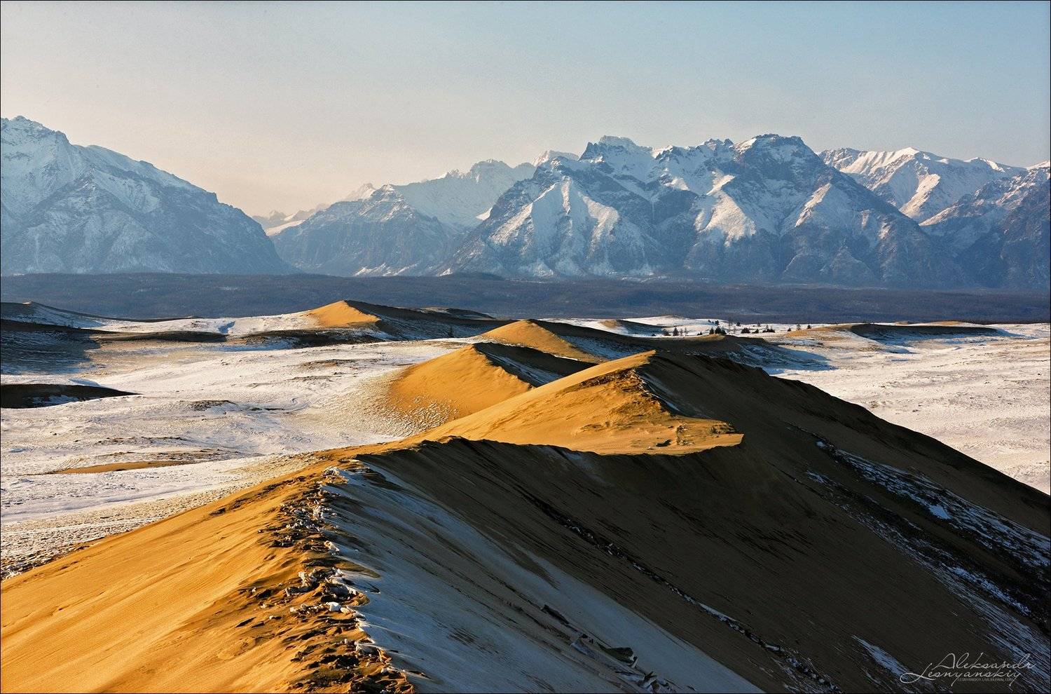 забайкальский край, Александр Леснянский