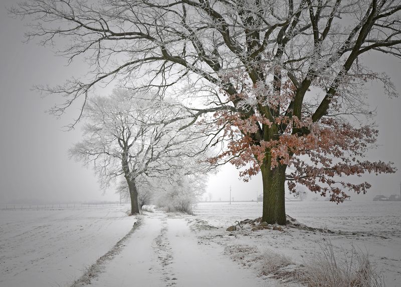 ... фото превью