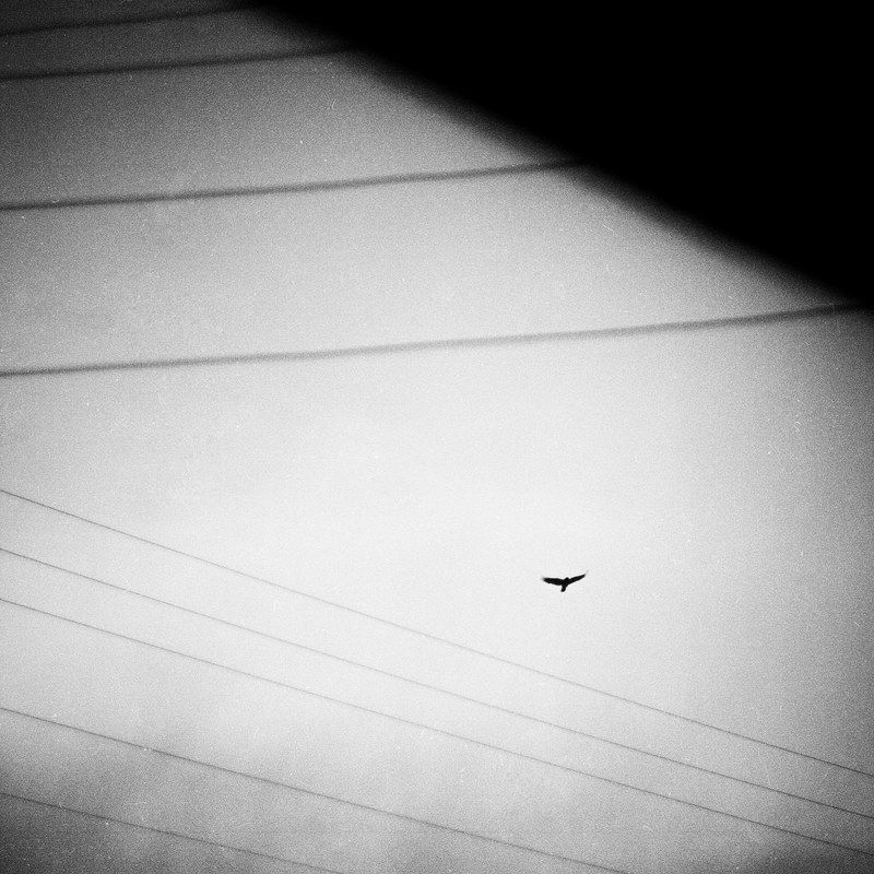 ... фото превью