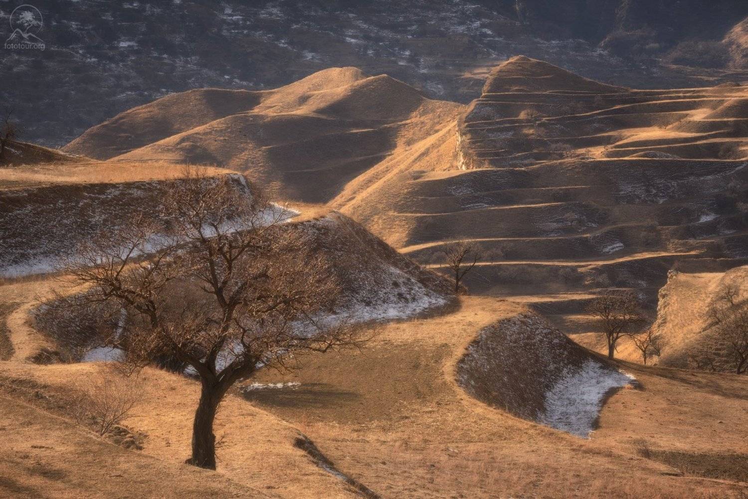 дагестан, террасы, Анатолий Гордиенко