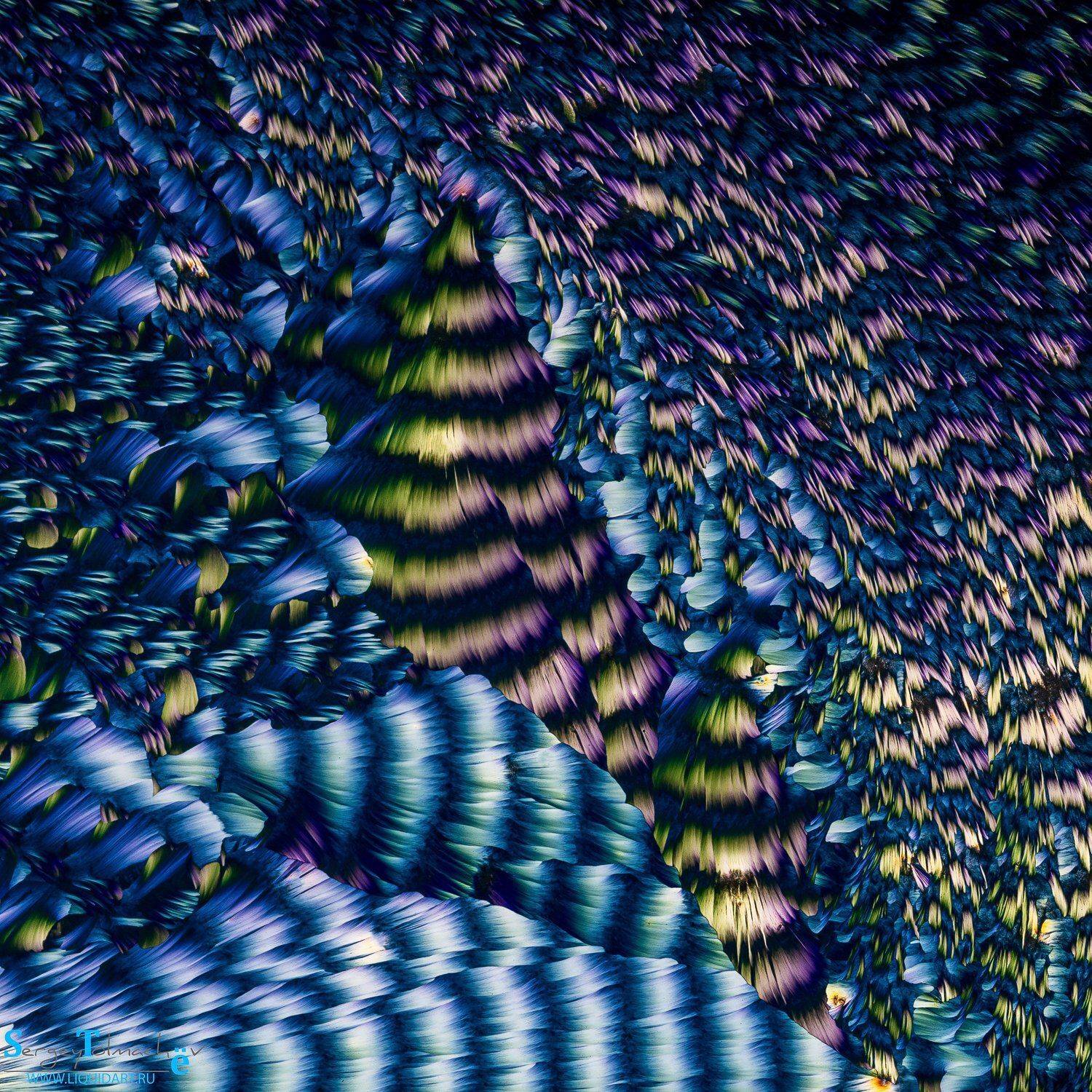 кристаллы кислоты кислота сергей толмачев аминокислоты аминокислота поляризация, Сергей Толмачев