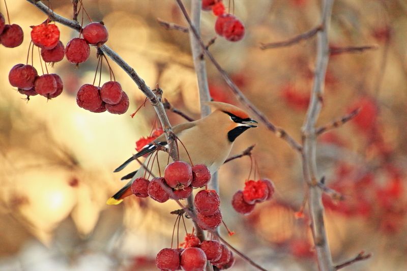 Февраль фото превью