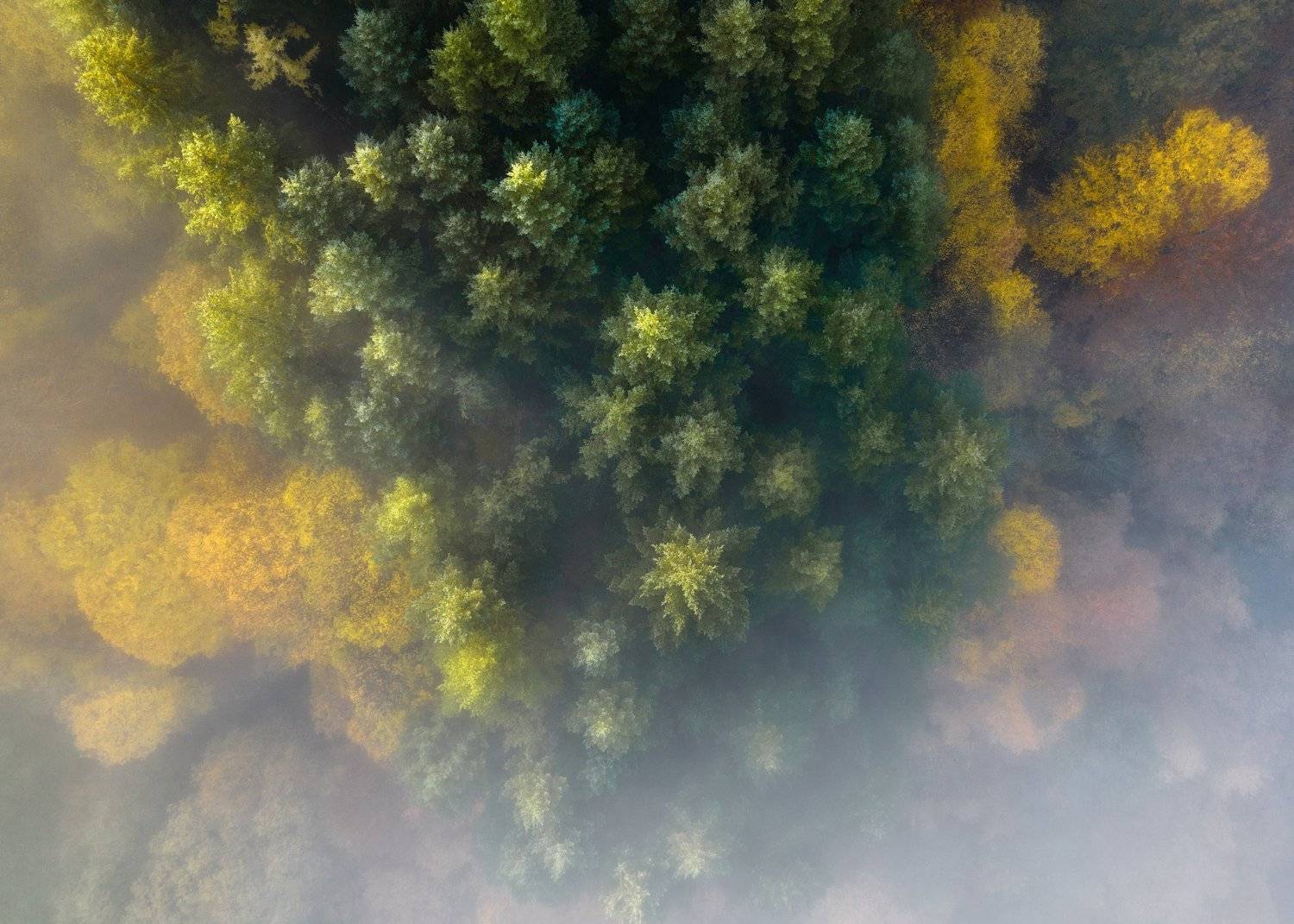 , Radoslav Sviretsov