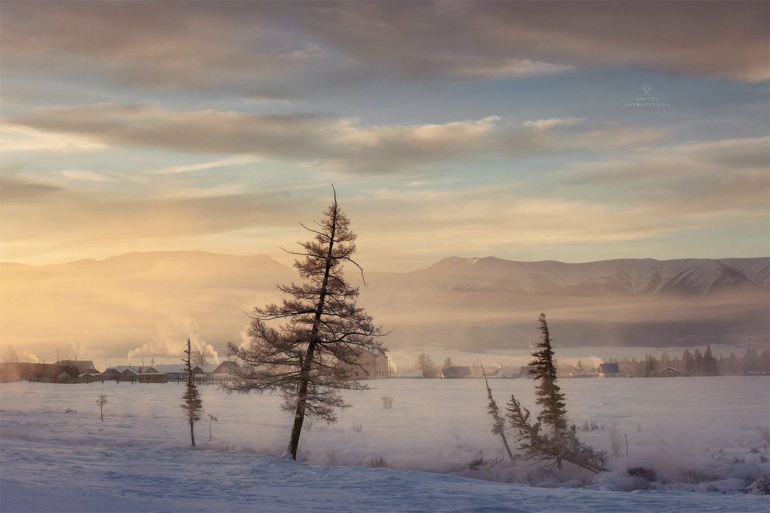 , Дмитрий Купрацевич