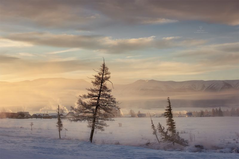 Зимние силуэты фото превью