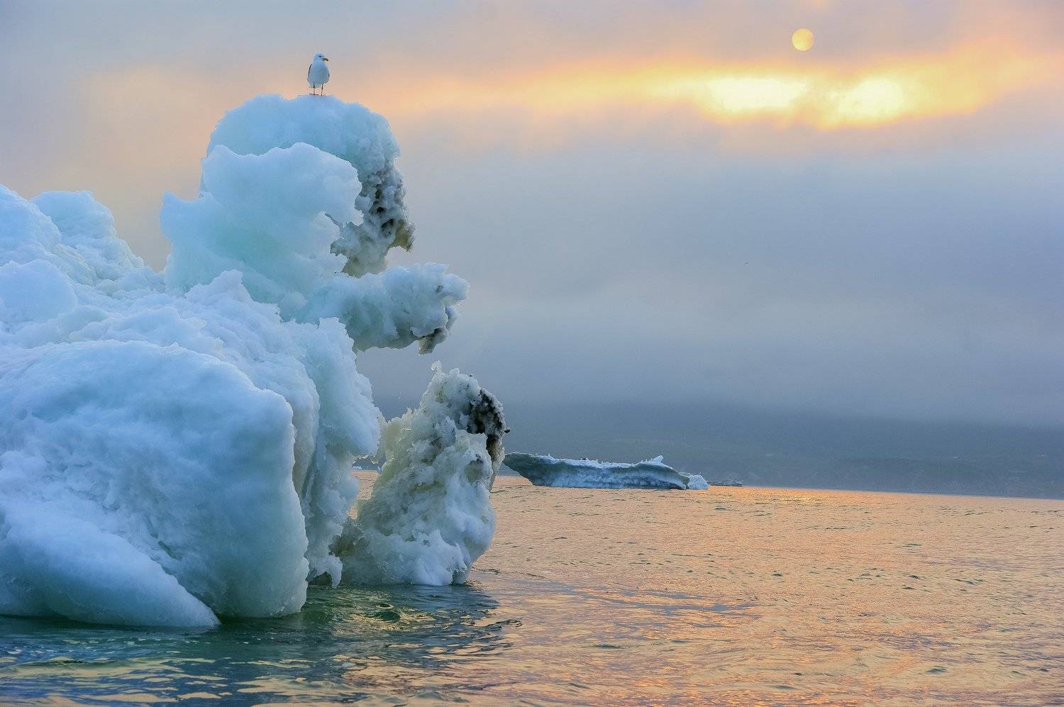 , Андрей Загребельный