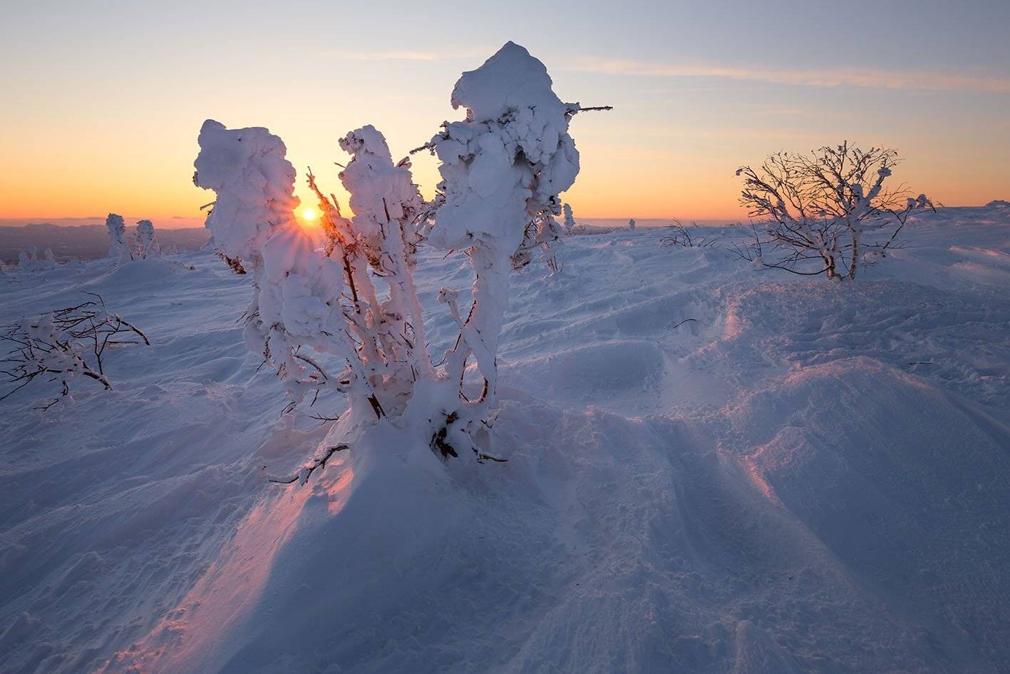 , Артем Удодов