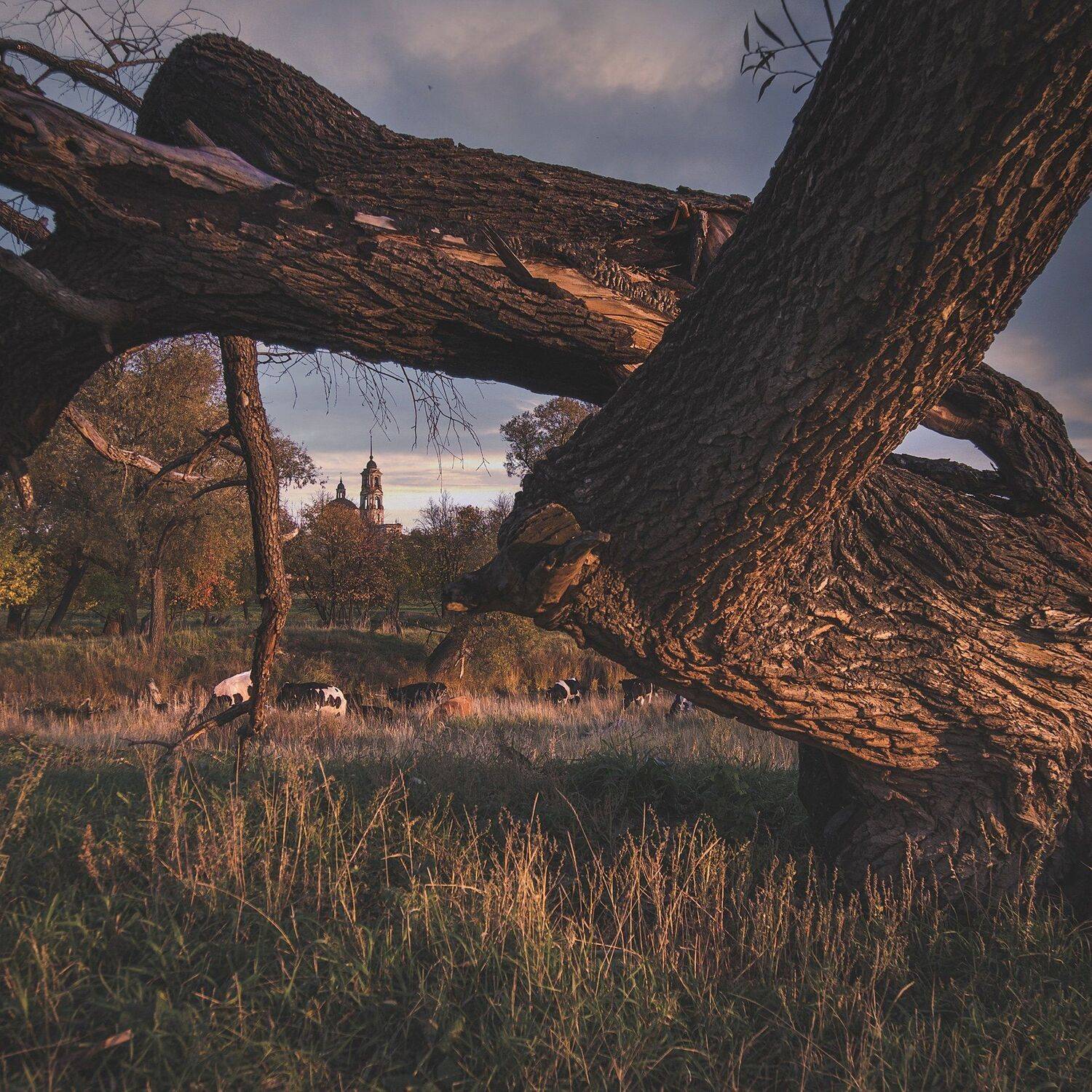 , Денис Храмеев