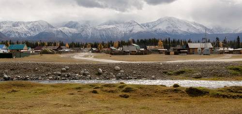 Осенний Курай.