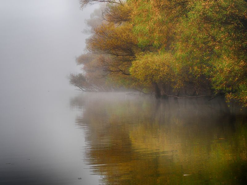Foggy river фото превью