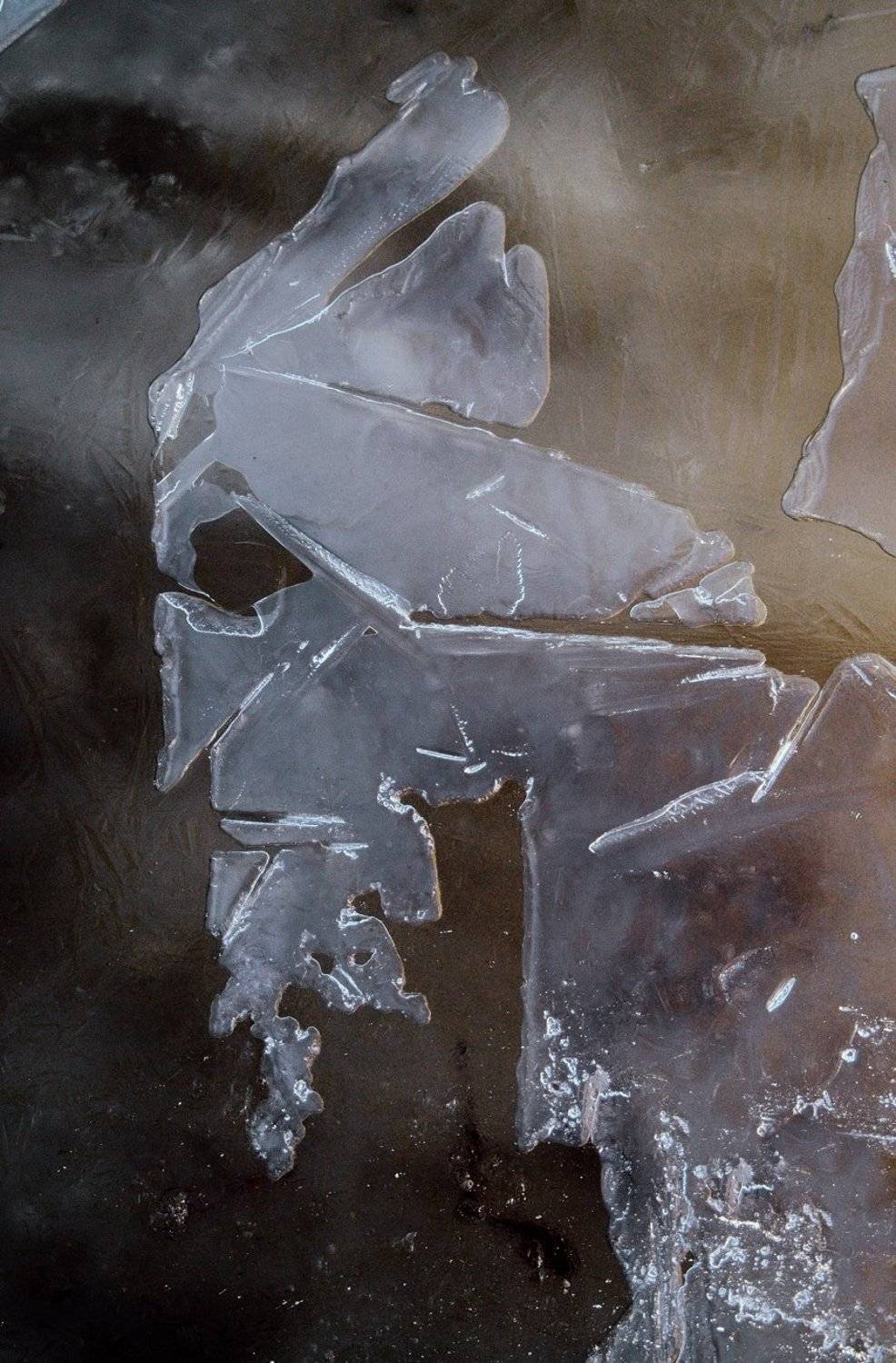 pareidolia, ПОЛУЕВ ИЛЬЯ