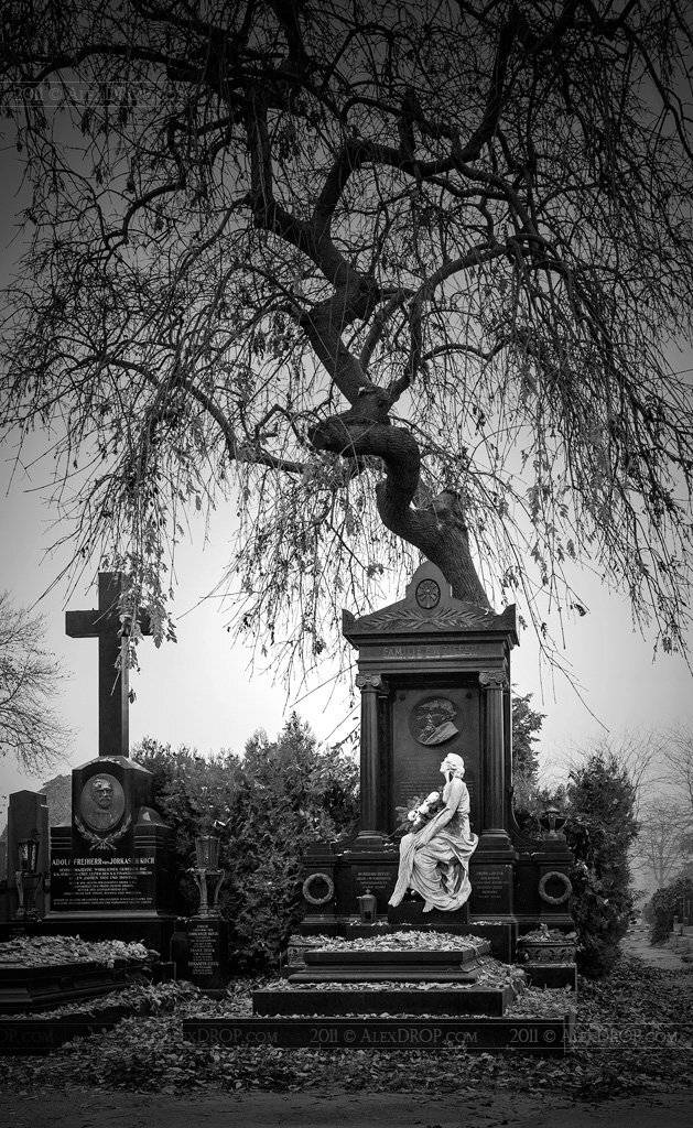 canon, blackwhite, b&w, postcard, picturesque, landmark, europe, vienna, wien, austria, travel, urban, architecture, iconic, tree, AlexDROP