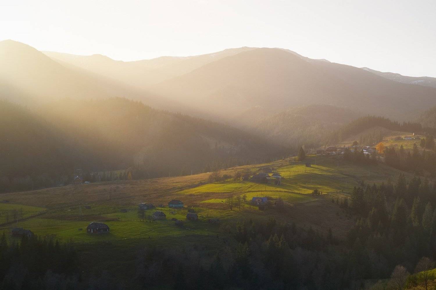 #landscape #nature #scenery #forest #wood #autumn #mist #misty #fog #foggy #river #waterfall #longexposure #mountain #vitosha #bulgari #aтуман #лес #oсень, Леонид Морозов