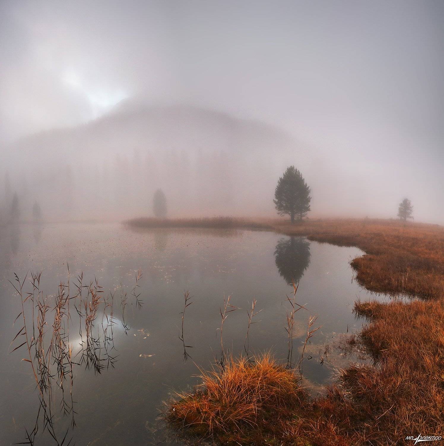 swiss, Матвеев Николай