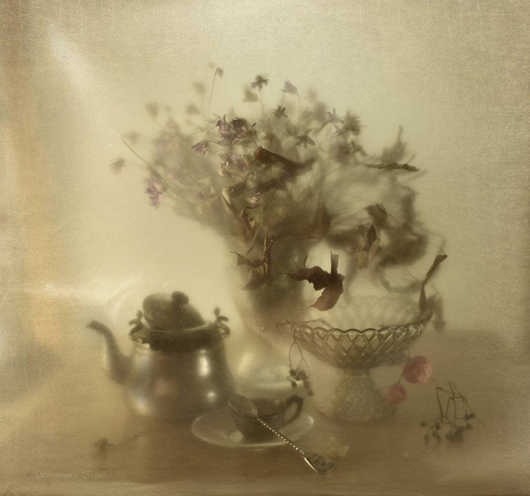 , Шипунова Ирина