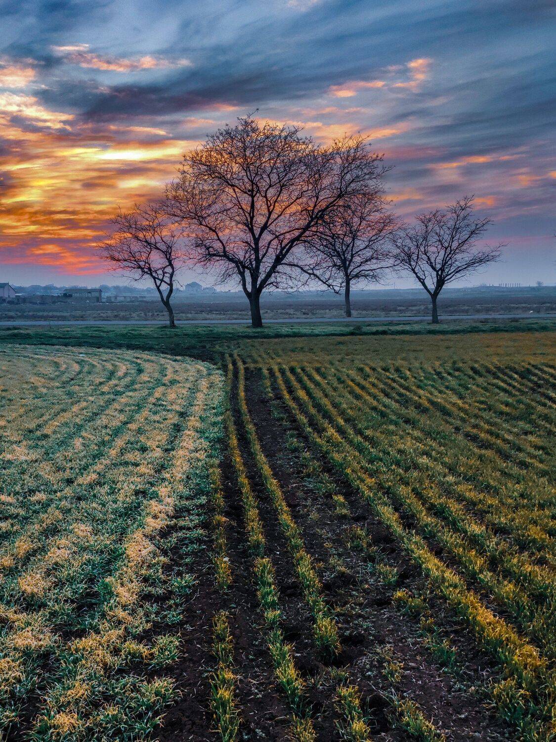 , Андрей Кривцов