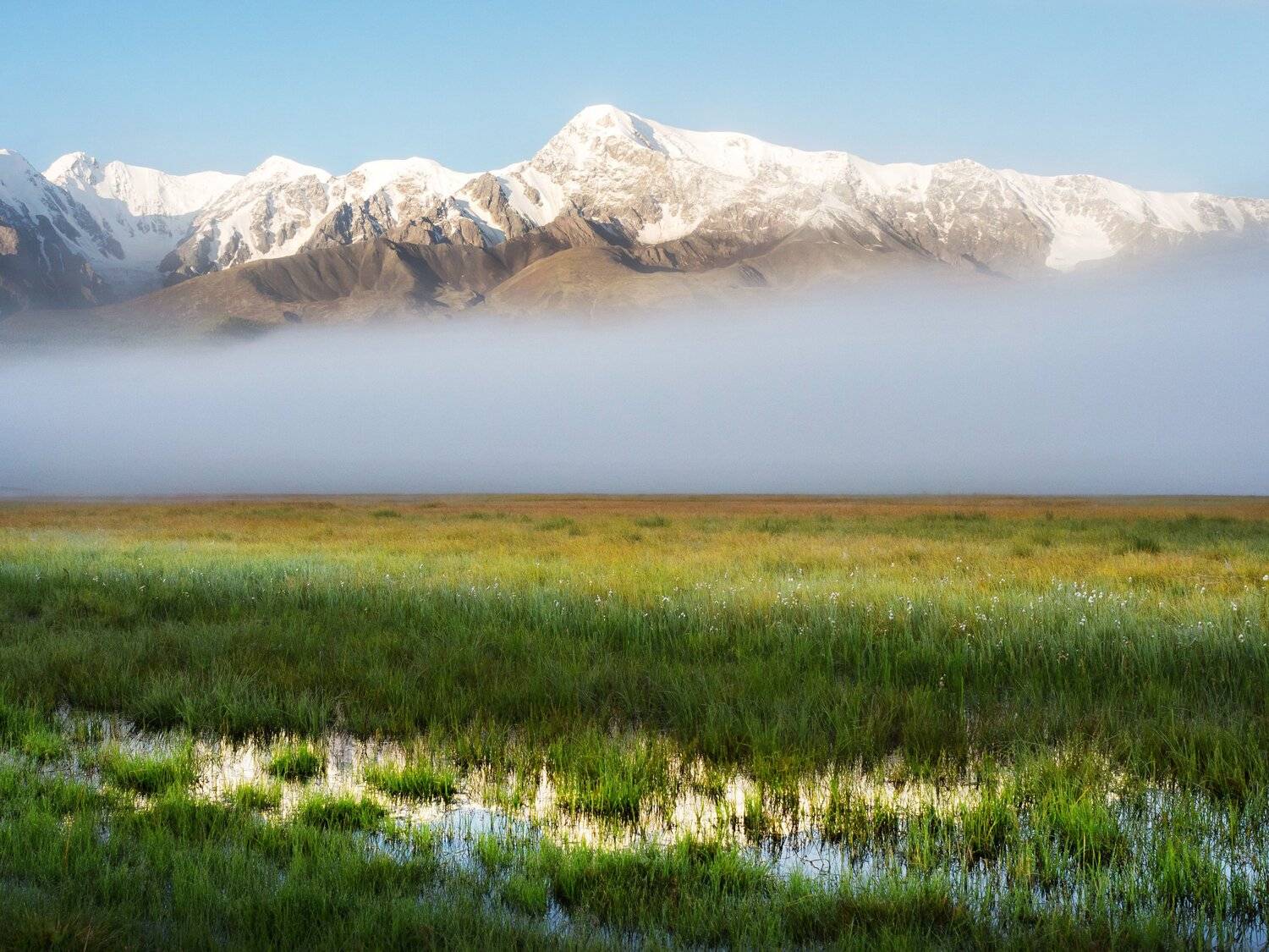 , Ольга Беккер