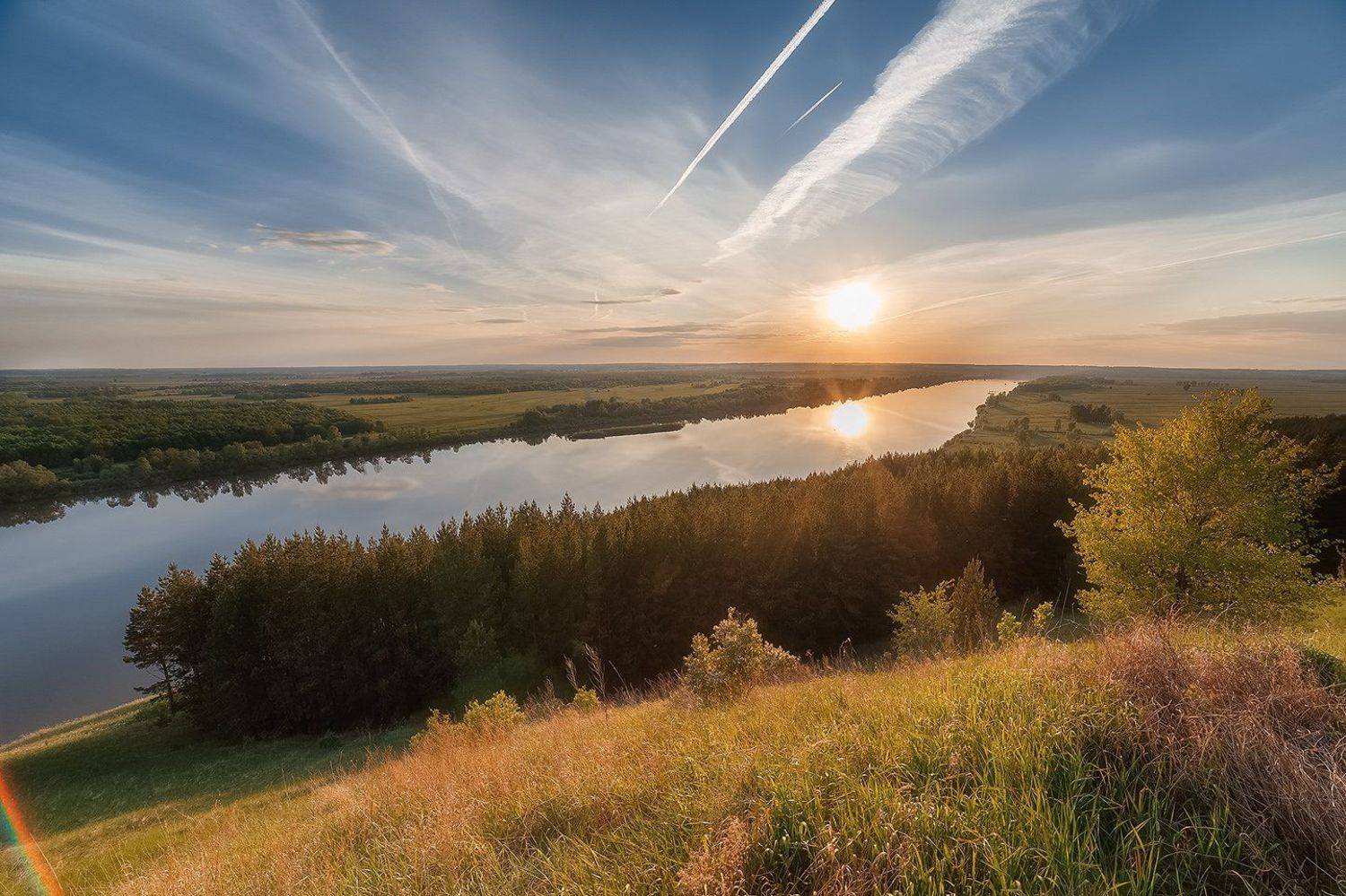 , Алексей Никитин