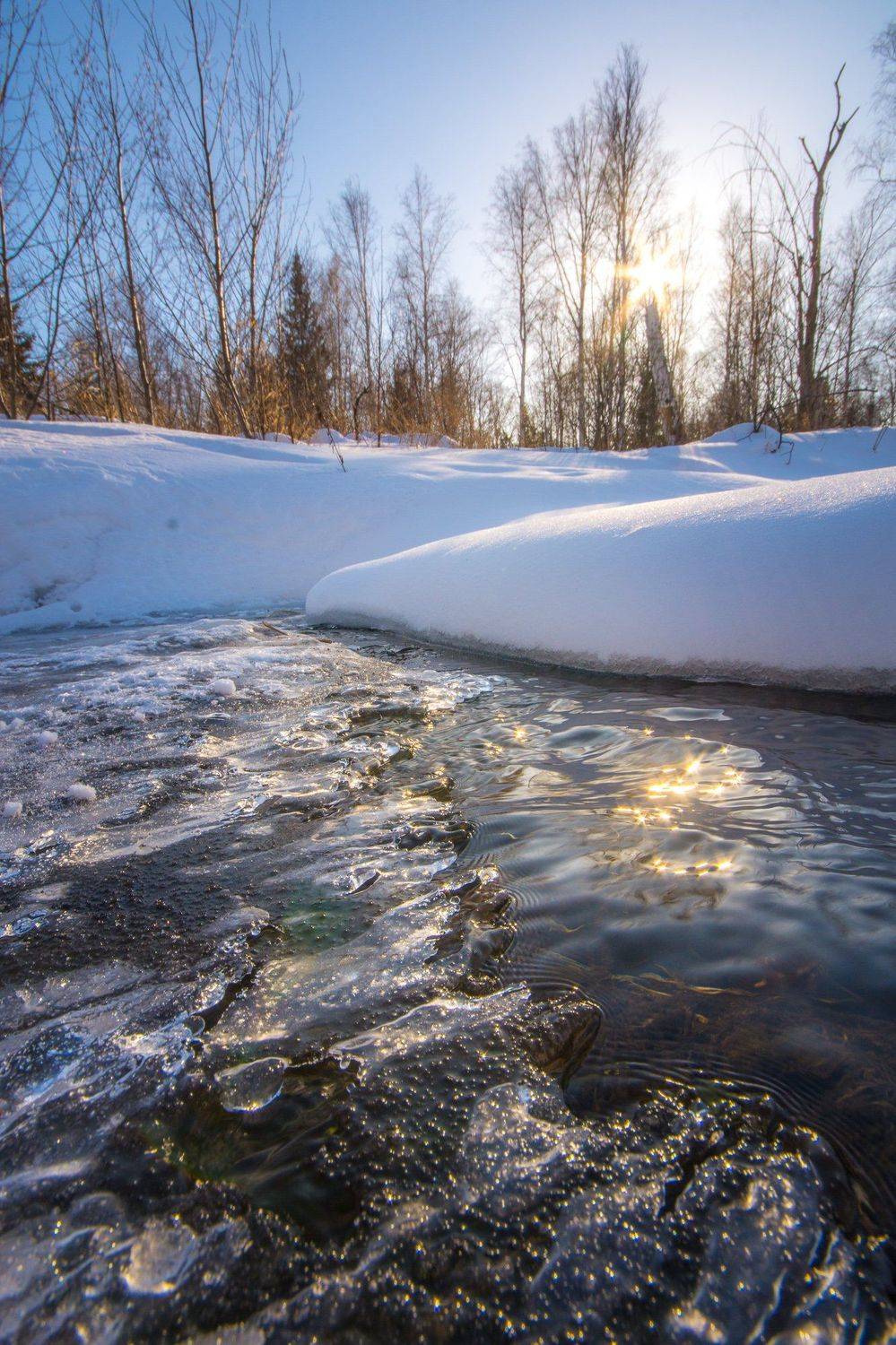 ручей солнце снег весна , Жданов Дмитрий