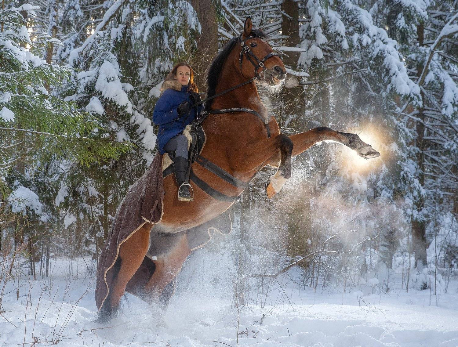 , игорь перфильев