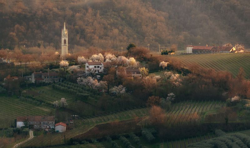 italy,цветение,italia,вечер,италия,valle san giorgio,veneto,весна,венето,belvedere,деревня, В деревне весна... фото превью