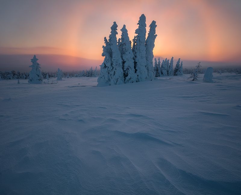 гух Гало фото превью