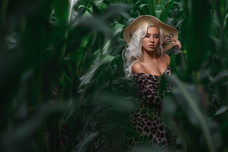 Margarita in the jungle фото превью
