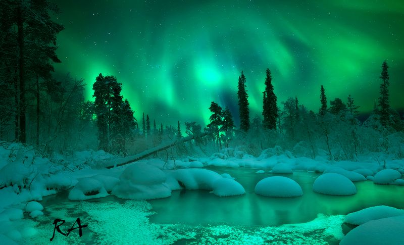 кольский полуостров, кольский, зима, winter, snow, kola peninsula, forest Welcome to fairytale фото превью