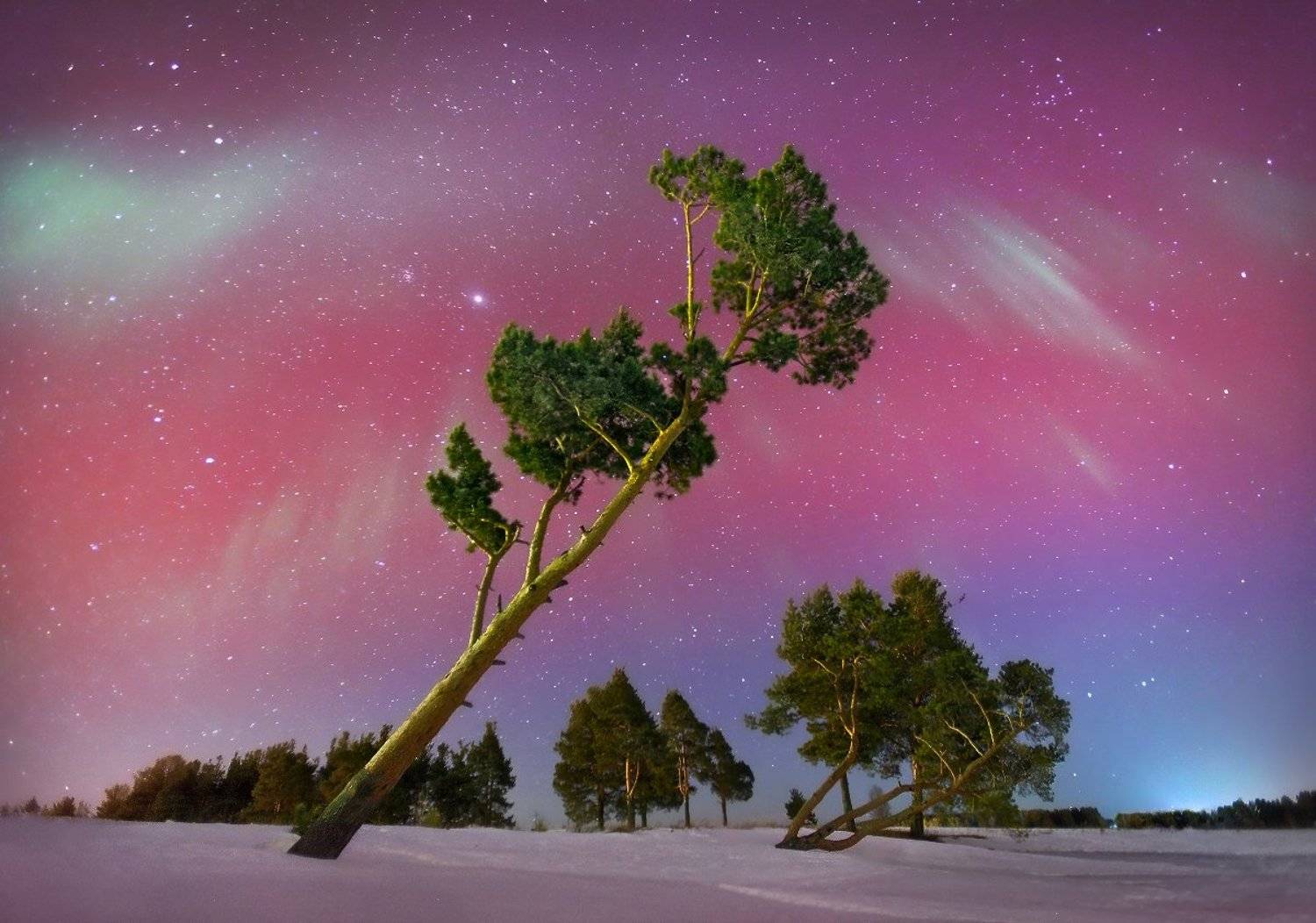 , Сергей Макурин