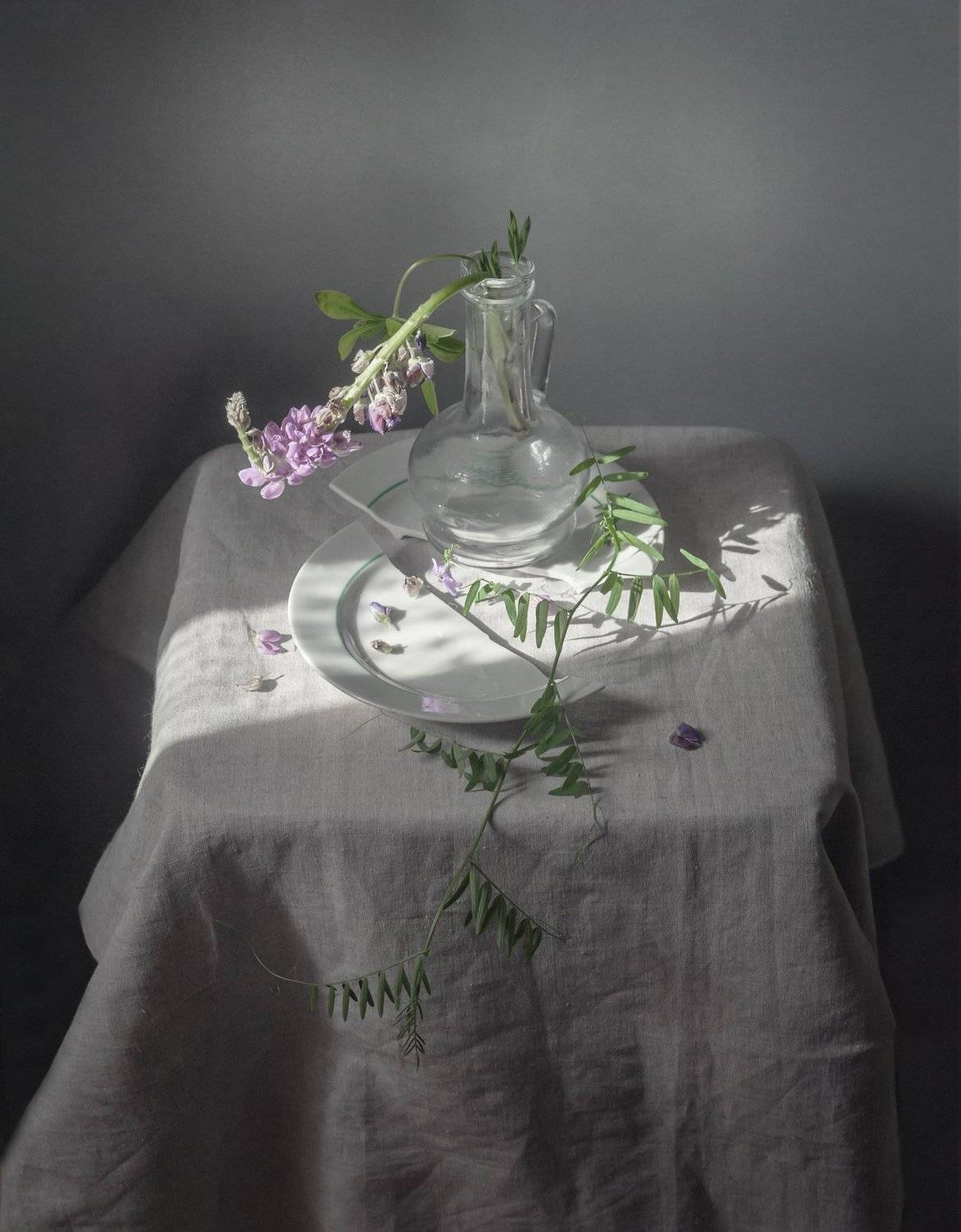 , Елена Хазина