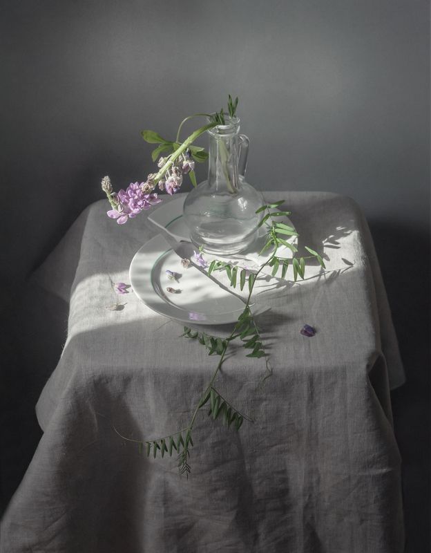 *** фото превью