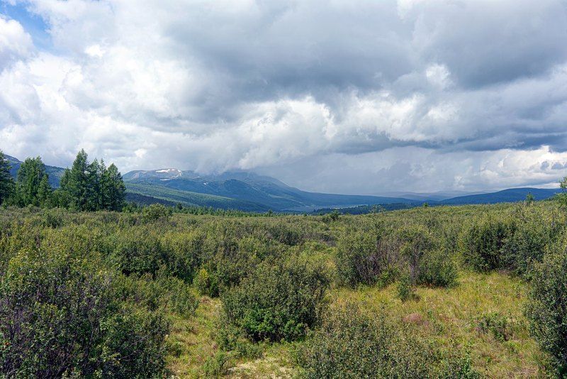 Горный Алтай Вид на Айгулакский хребет фото превью