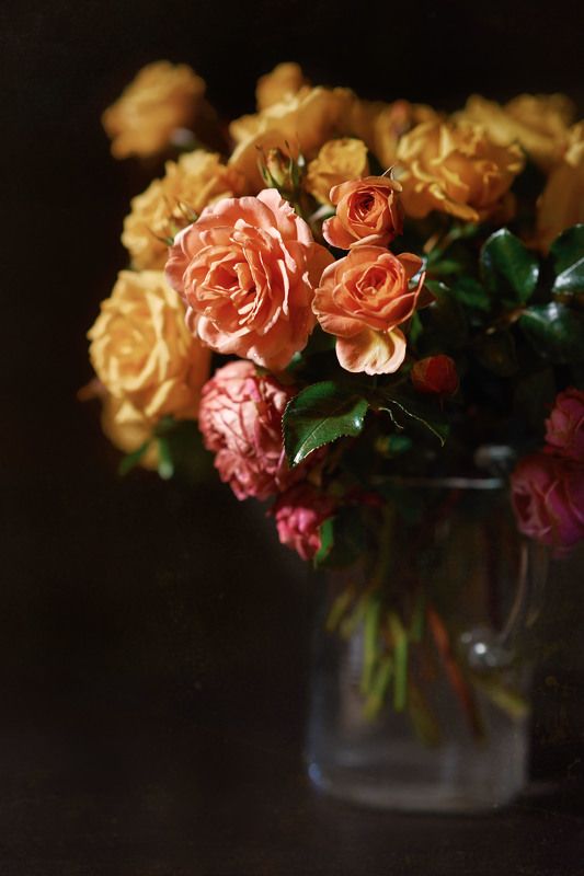 Осенние цветы фото превью