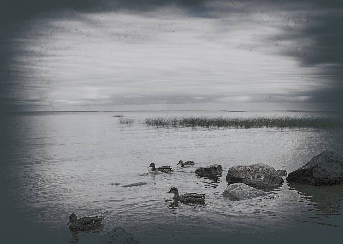 , T. Bondarenko
