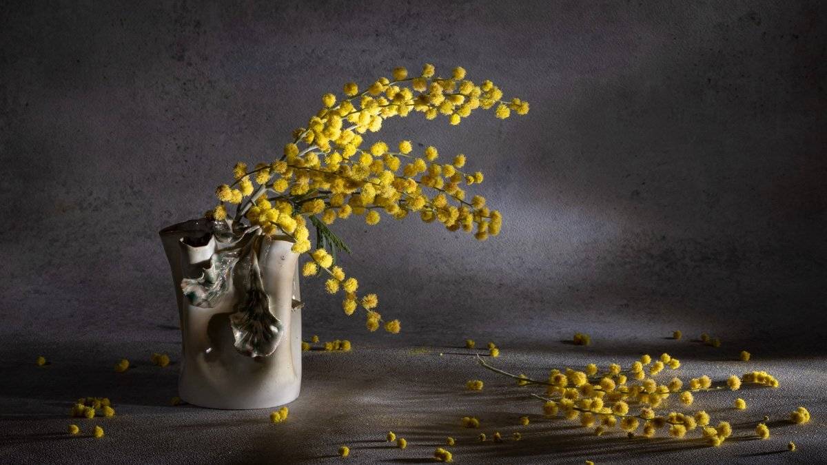 still-life,light-brush, Игорь Копцев