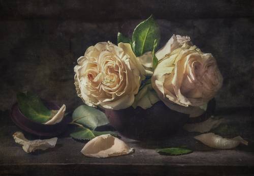 Ах...Эти Розы !