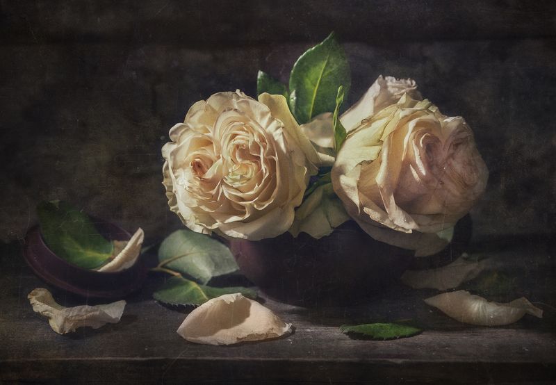 Ах...Эти Розы ! фото превью