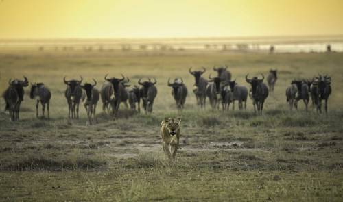 Queen Walk