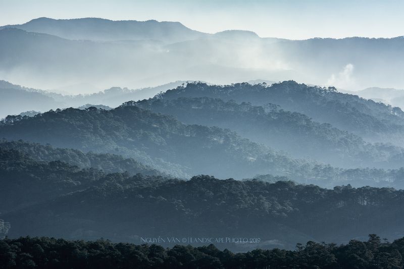 Fog Da Lat 2019 фото превью